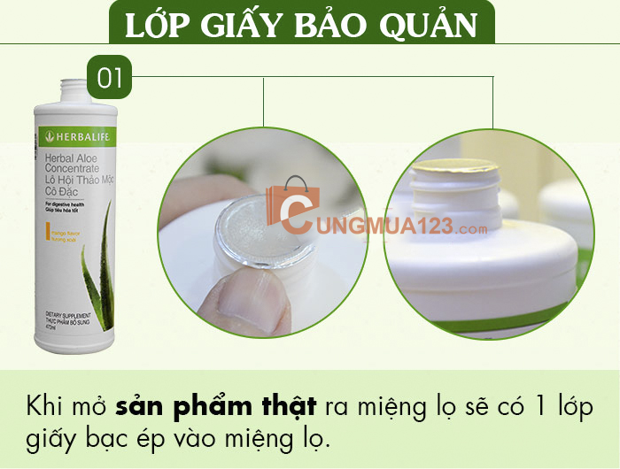 Lớp giấy bảo quản